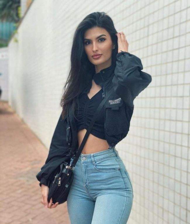 香港2023正版免费资料手机app下载