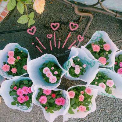 米乐app下载并安装截图