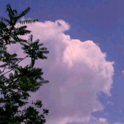 万博体育最新下载链接